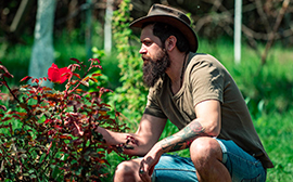 Organic Farming